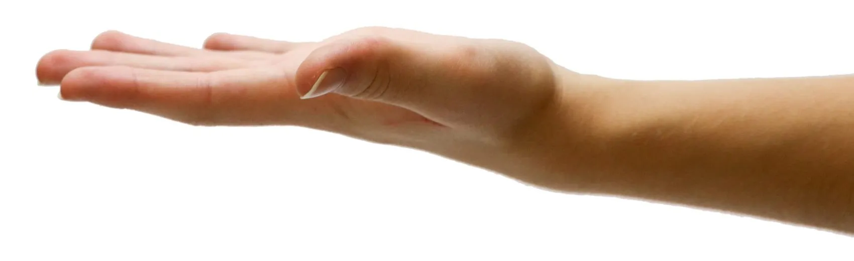 An open hand, palm up, reaching in from the right